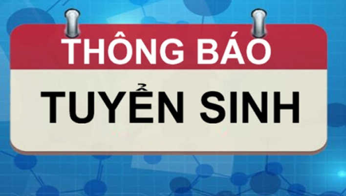 Quyết định giao chỉ tiêu tuyển sinh vào các trường mầm non, lớp 1 và lớp 6 năm học 2024-2025 trên địa bàn quận Đống Đa